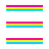 Pansexual Flag