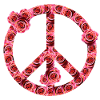 Peace Roses