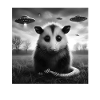 Opossum Funny Graphic Selfie with UFOs Weird Alien
