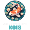 Koi Koi Carp