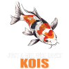 Koi Koi Carp
