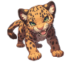 Jaguars Jaguar