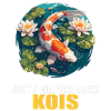 Koi Koi Carp
