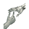 Hands