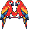 Parrot Couple Valentine's Day