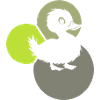 Duckling quacking waddling