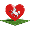 Twente liebt Fußball