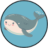 Marine Life Marine Animals