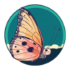 Schmetterling Waldbewohner Wald