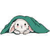 Rabbit under the blanket