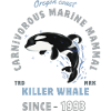 Orca Tier Meeressäuger - Schwertwal