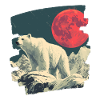 Icy Bear