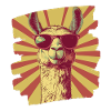 Alpaca