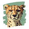 Guépard