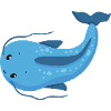 Distinctive catfish
