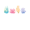 Vibrant Coral Reef