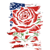 American Rose