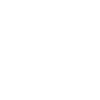 Majestic Lion Silhouette