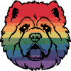 Regenbogen-Chow-Chow