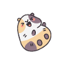 The Friendly Guinea Pig