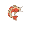 Elegant Koi Carp