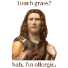 Touch grass? I'm allergic
