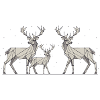 Hirsch 2D