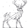 Hirsch 2D Linien