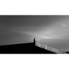 The Falcon on the Roof