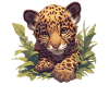 Jaguars Jaguar
