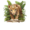 Jaguars Jaguar