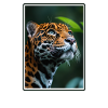 Jaguars Jaguar