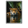 Jaguars Jaguar