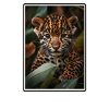 Jaguars Jaguar