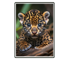 Jaguars Jaguar