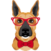 Smart Pooch: Dapper Dog Design