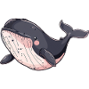 Whale Fin Marine Life