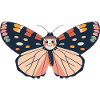 Butterfly Summer