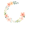 Retirement Midwife Flower Dream
