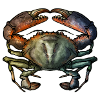 Crab