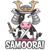Samorai : la vache guerrière