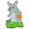 Bunny Basketball Player Basketball
