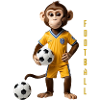 Cool monkey