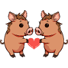 Couple de sangliers Saint-Valentin