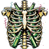 BEER RIB Cage Party Design