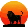Leo at sunrise