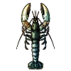 Lobster