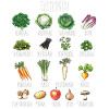 January Seasonal fruits and vegetables
