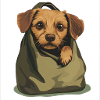 Puppy magic in your pocket