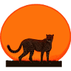 Cheetah at sunrise